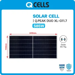 Q.PEAK DUO XL-G11.7 แผงโซลาร์เซลล์ Qcells 585W